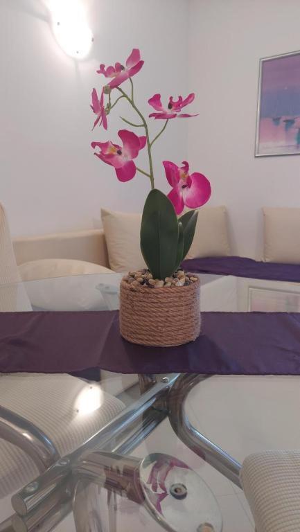 Apartments Mestral Baska Voda Ngoại thất bức ảnh